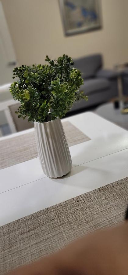 Luxury Apartment Tirana Newpazar Bagian luar foto